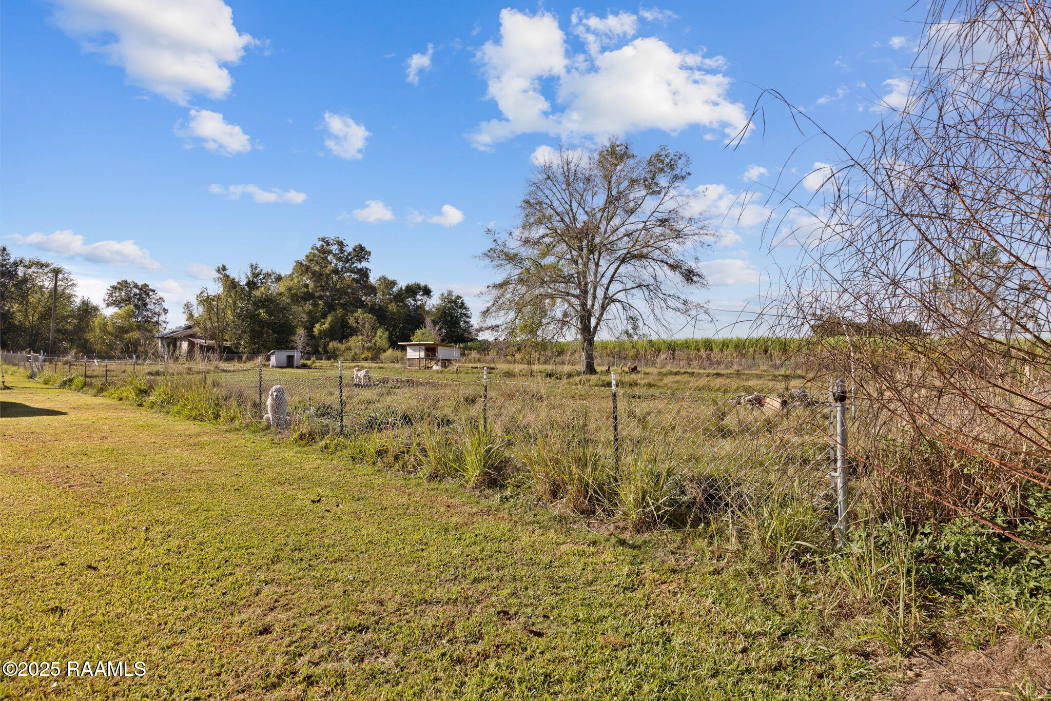 1239 A Barras Road St. Martinville, LA 70582 - Photo 30 of 32 25-web-or-mls-1239A Barras Rd-25