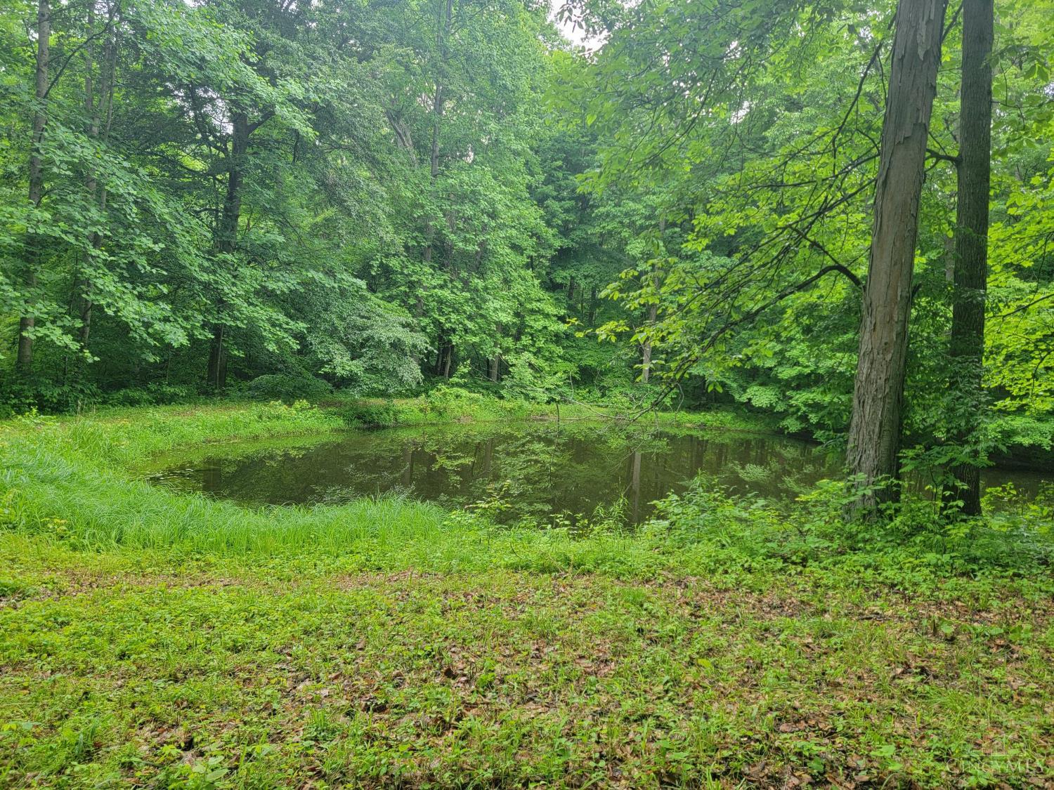 0 Co Road Milan, IN 47031 - Photo 10 of 19 Gallery Image 10