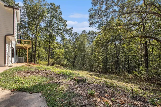 a view of a yard with plants and large trees