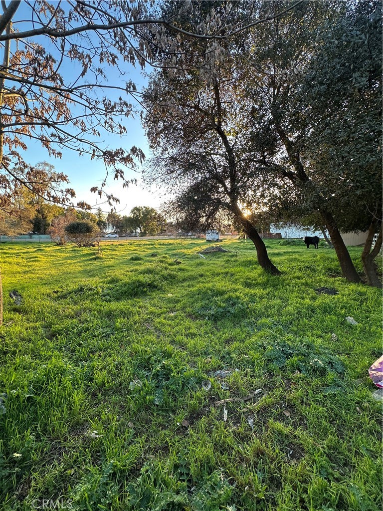 3820 Highway 20 Nice, CA 95464 - Photo 7 of 10 a view of a field with an trees