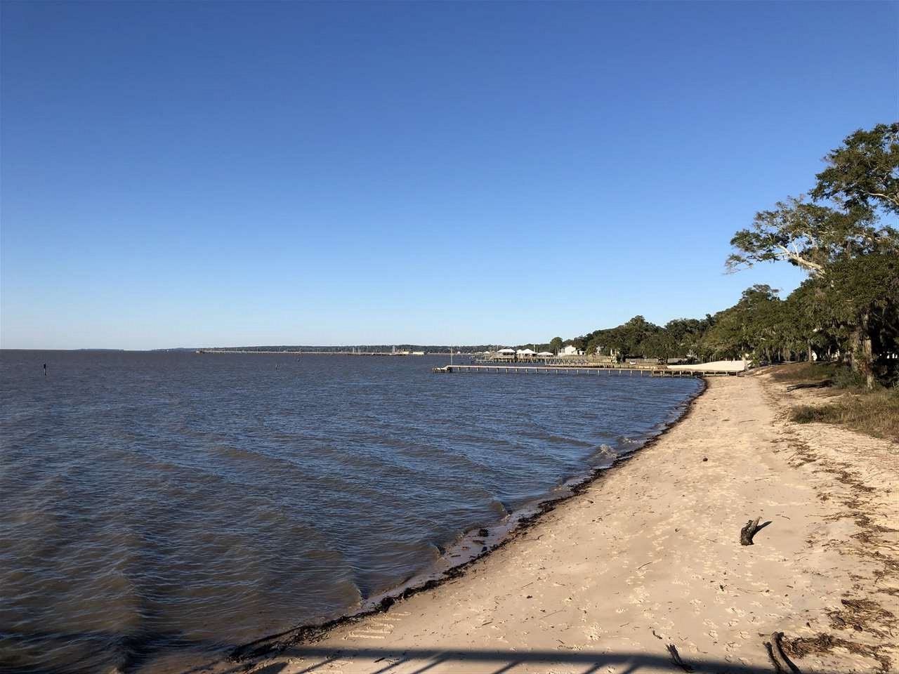 155 Orange Avenue Fairhope, AL 36532 - Photo 3 of 7