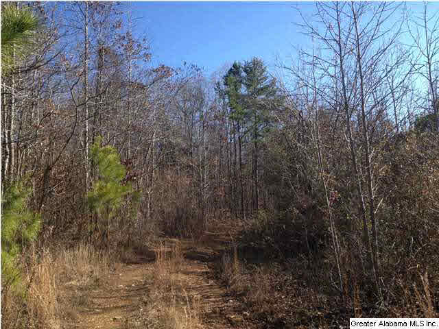 18 County Road, Unit 80 Centre, AL 35960 - Photo 2 of 4