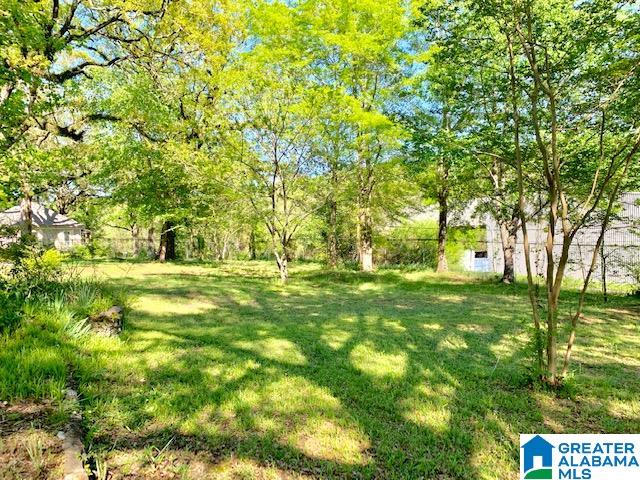 1309 Minnesota Avenue Bessemer, AL 35020 - Photo 2 of 9
