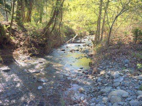 2091 Fish Hatchery Road Grants Pass, OR 97527 - Photo 10 of 30 Additional Photo