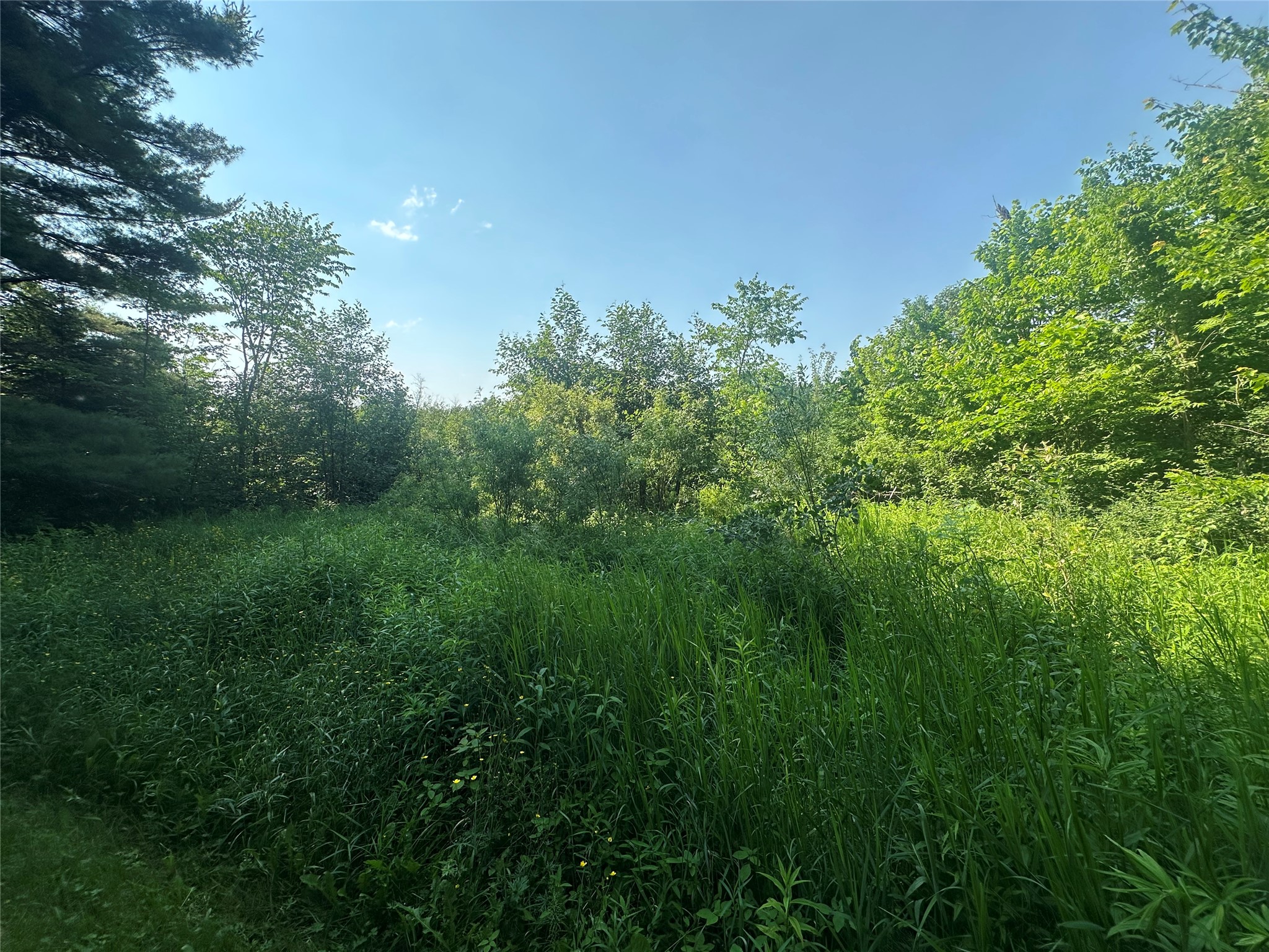 6901 North Zett Road Winter, WI 54896 - Photo 12 of 35
