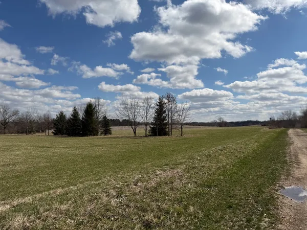 a view of a field with an ocean