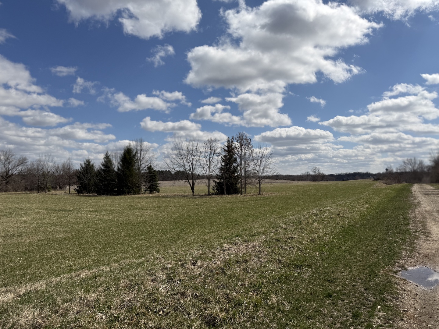 a view of a field with an ocean