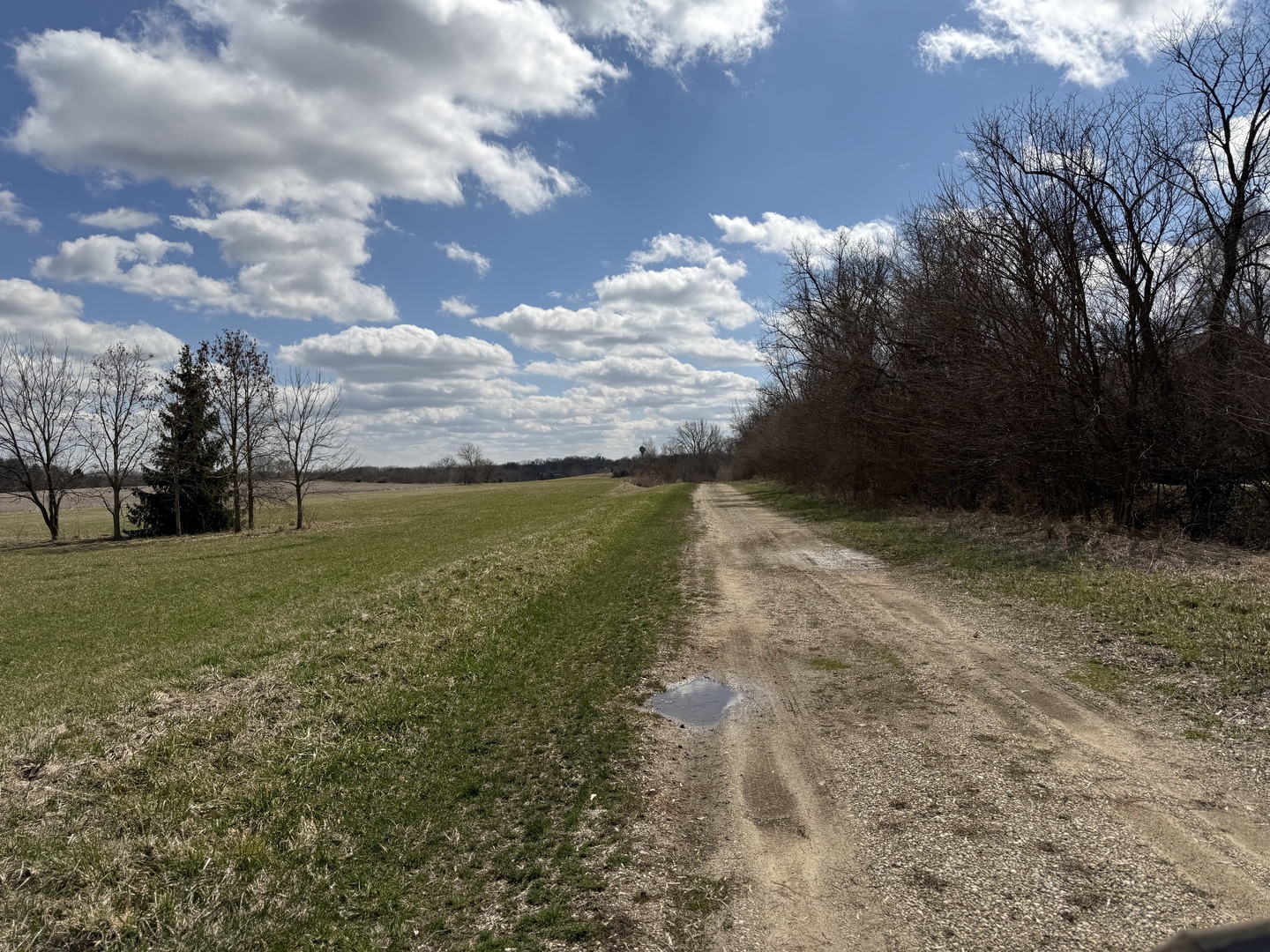 Lot A Lenz Road Elgin, IL 60124 - Photo 2 of 11 a view of yard with swimming pool and green space
