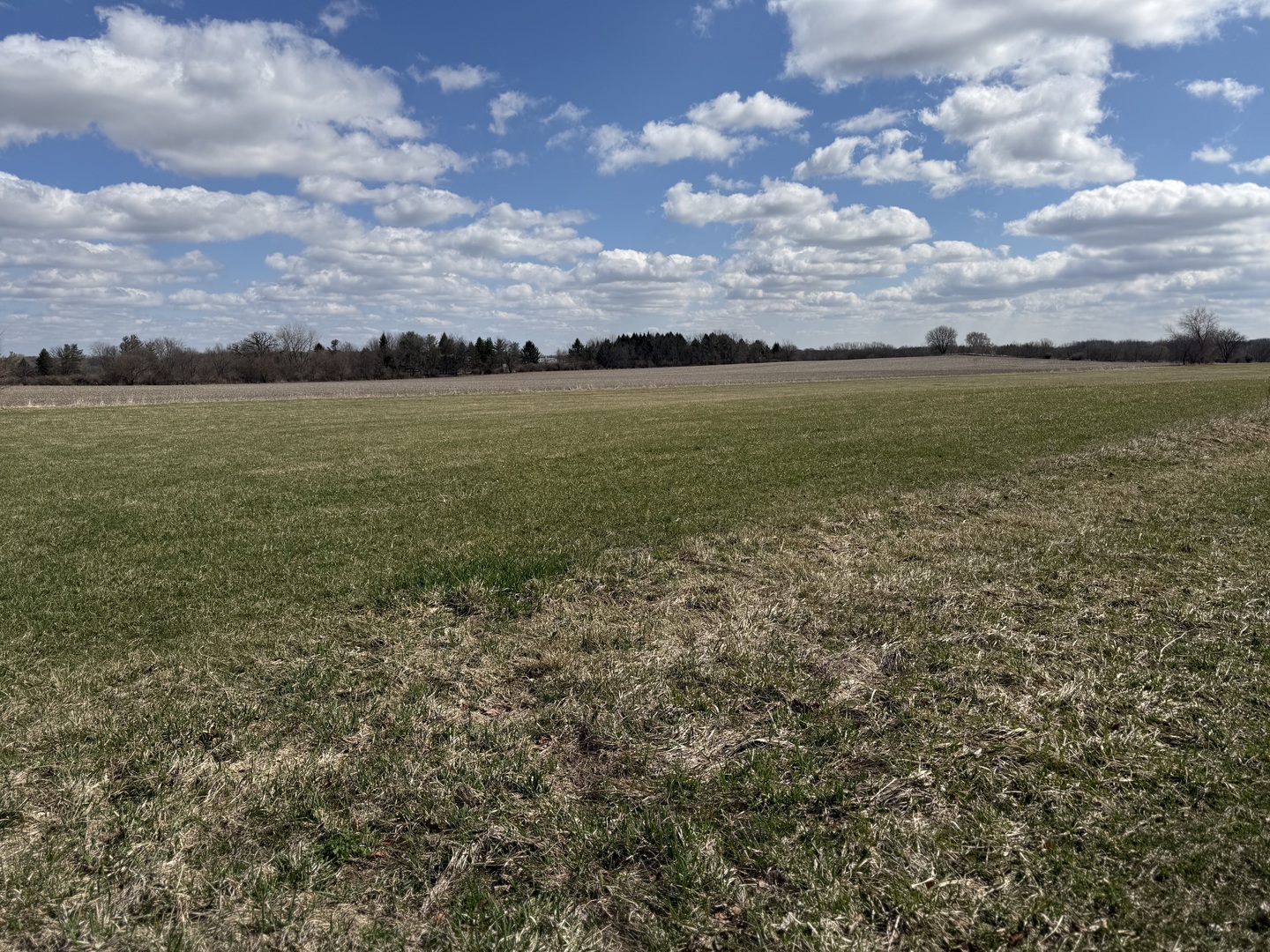 Lot A Lenz Road Elgin, IL 60124 - Photo 3 of 11 a view of a large body of water with lots of trees