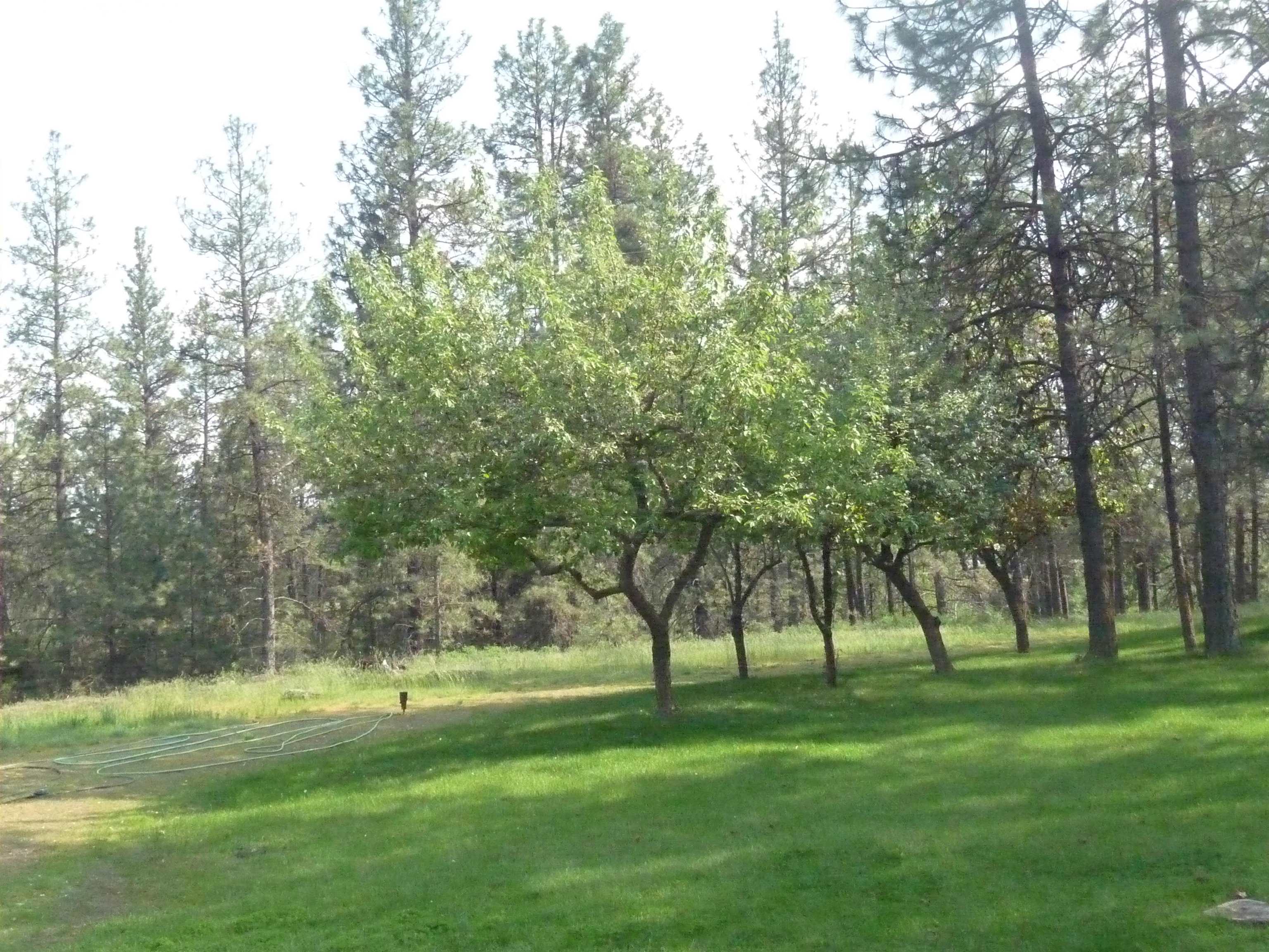 7110 West Anderson Road Cheney, WA 99004 - Photo 48 of 49