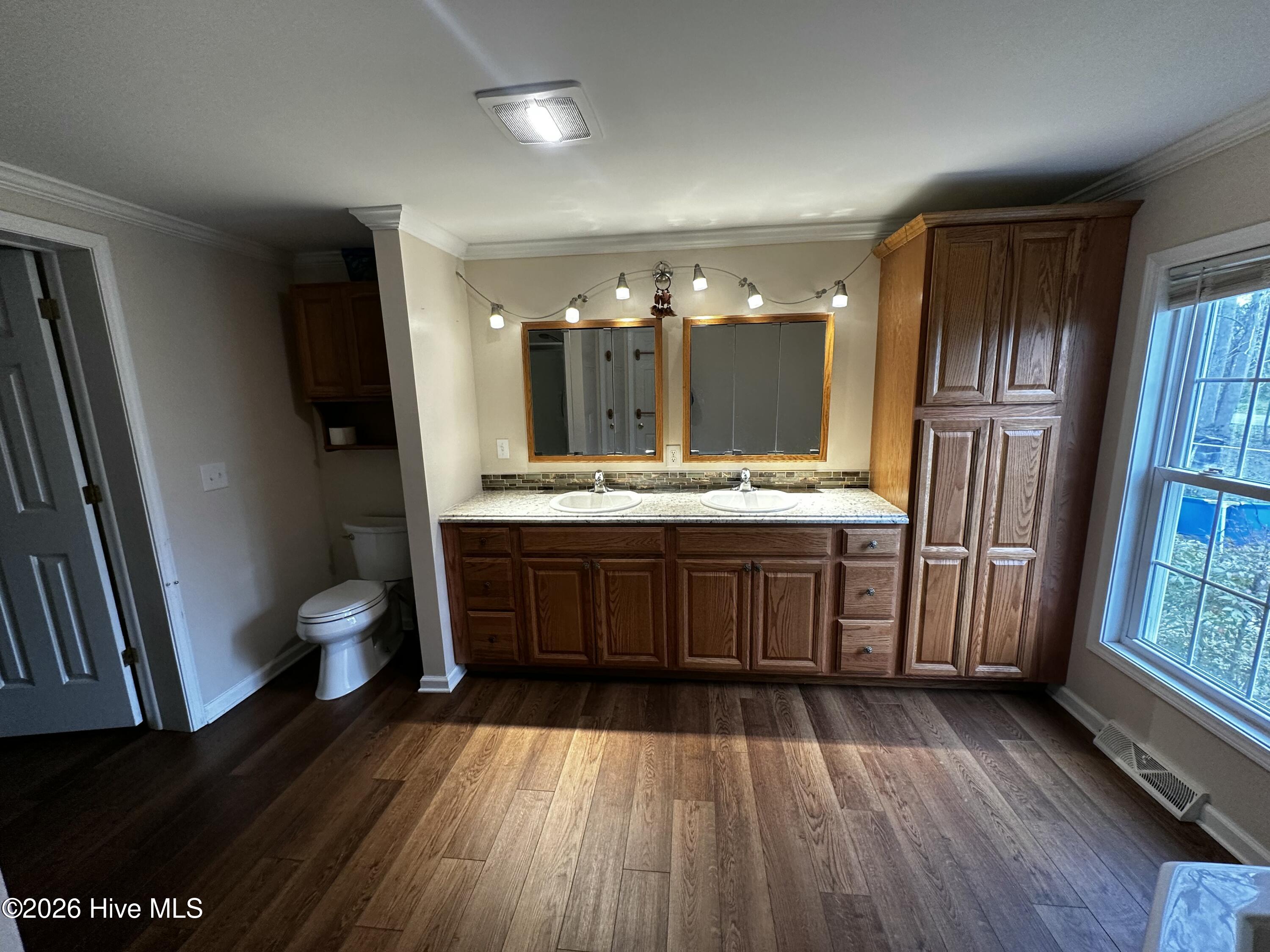 209 Old Ironsides Road Newport, NC 28570 - Photo 29 of 52 Master Bathroom Sink and Toliet
