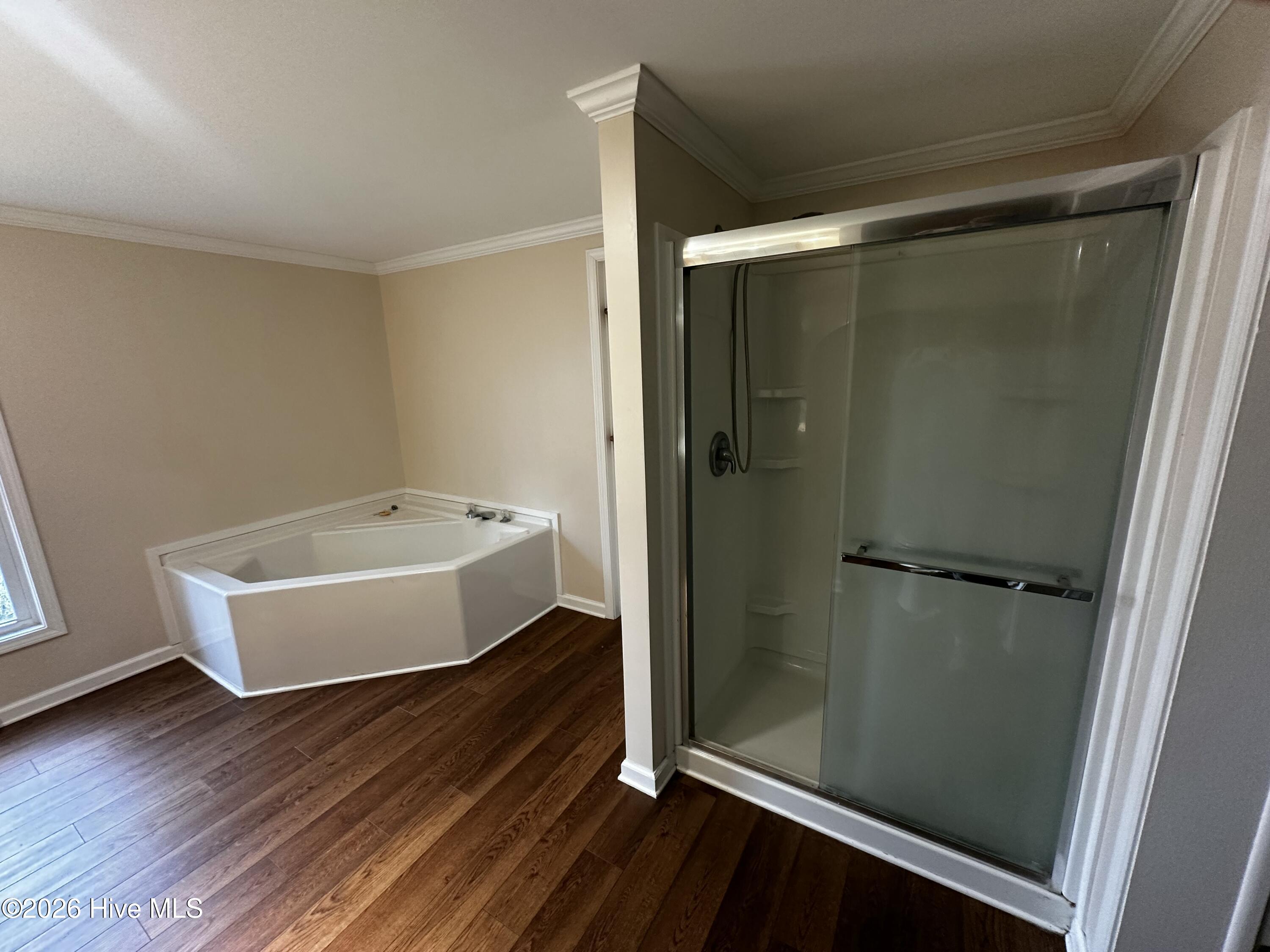 209 Old Ironsides Road Newport, NC 28570 - Photo 30 of 52 Tub and Shower in Master Bathroom