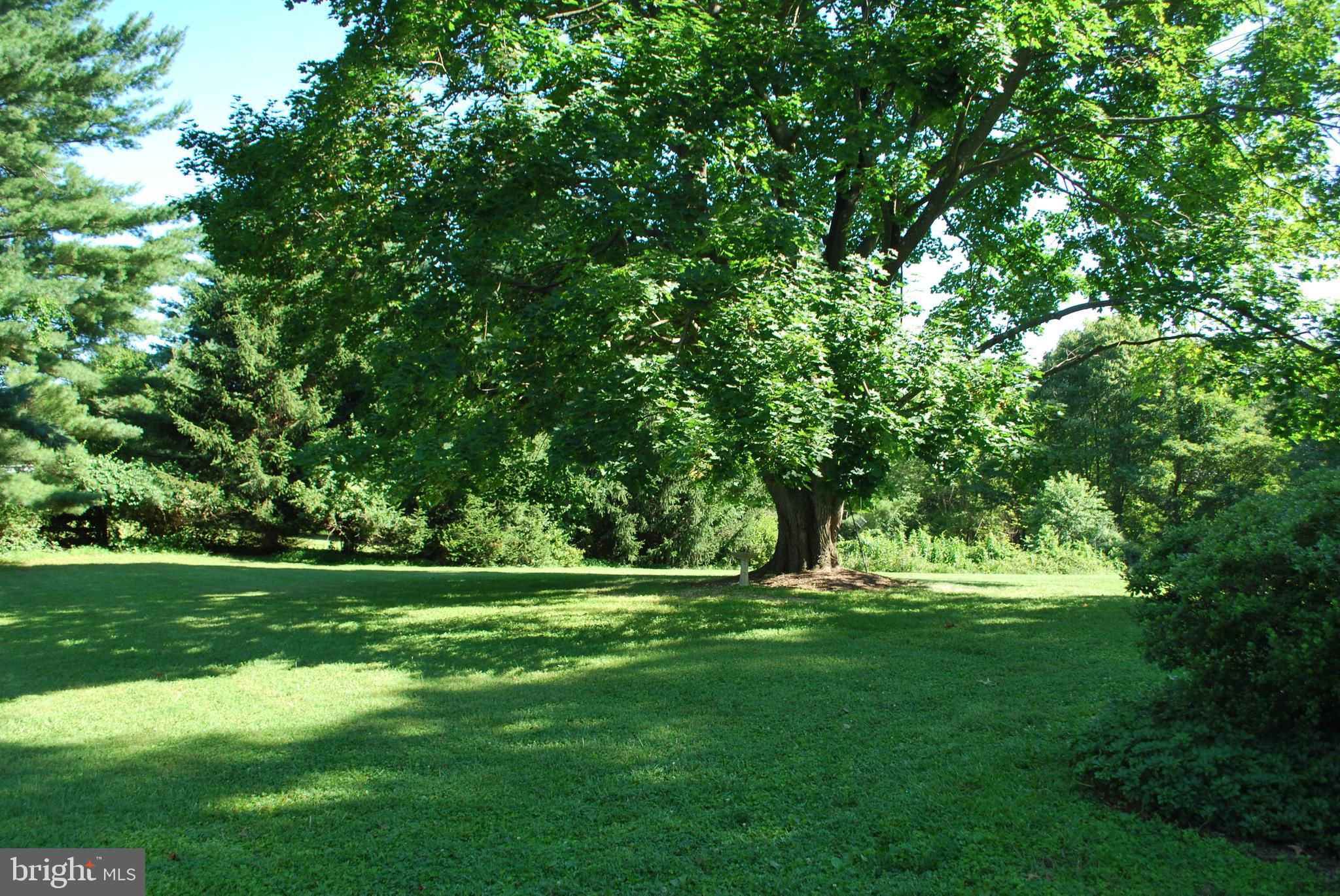 3016 Benson Mill Road Upperco, MD 21155 - Photo 5 of 59 back yard, mature trees