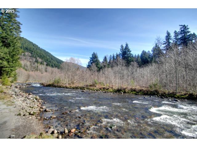 70385 East Zig Zag River Road Rhododendron, OR 97049 - Photo 16 of 16 a view of a dry yard