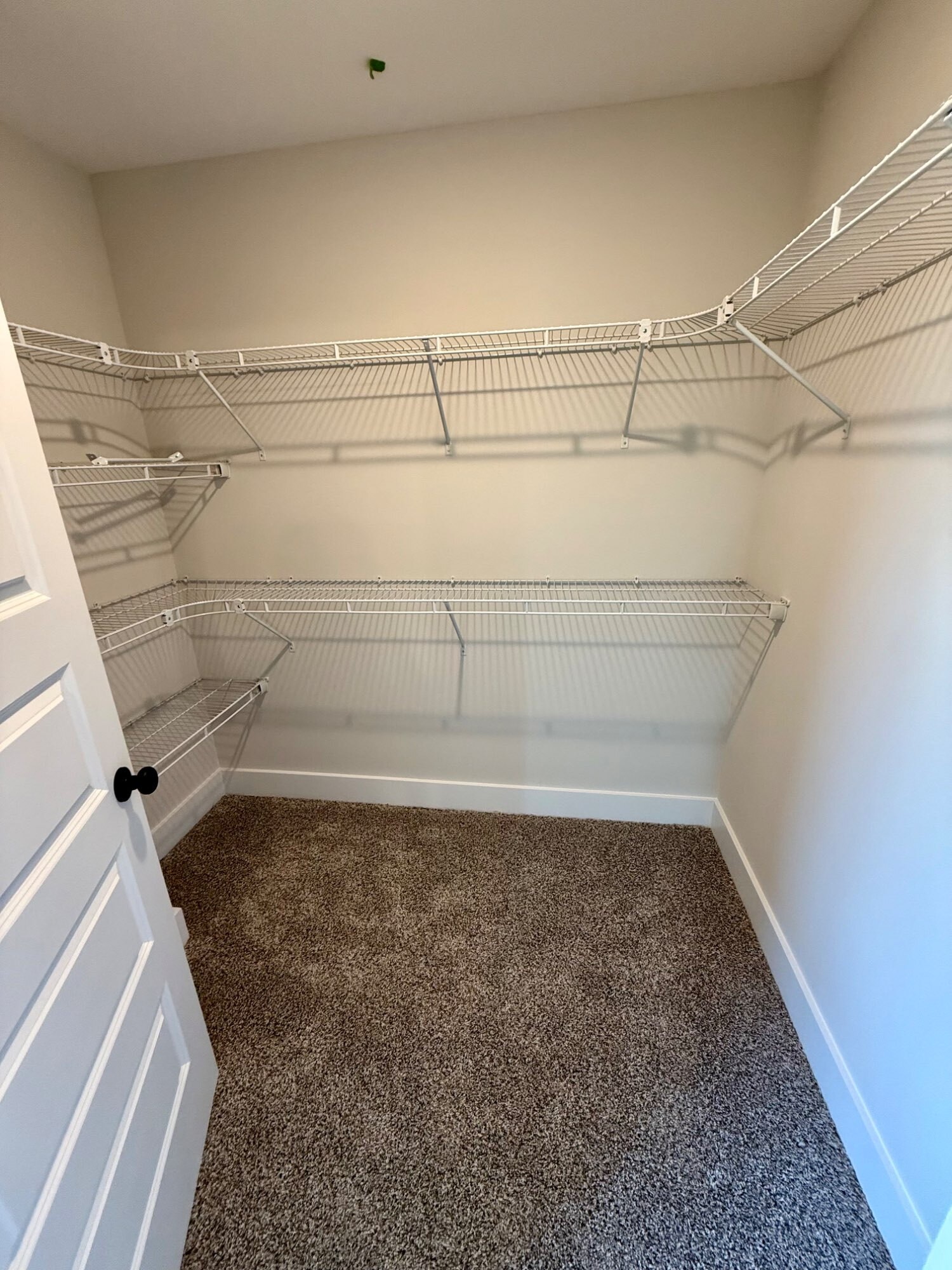 166 Dewberry Road Clarksville, TN 37042 - Photo 19 of 35 Gallery Image 19