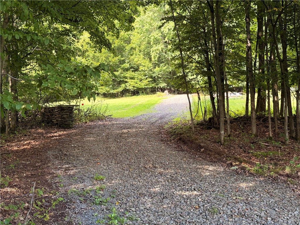 334 Lulu Coon Road Butternuts, NY 13849 - Photo 18 of 41 Gallery Image 18