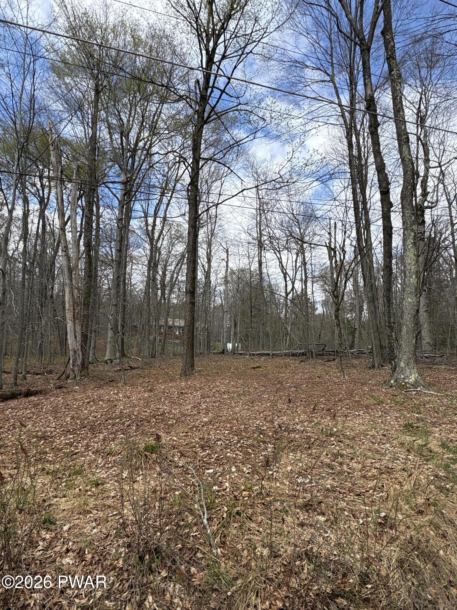 Lot 60 Logger Road Canadensis, PA 18325 - Photo 7 of 9
