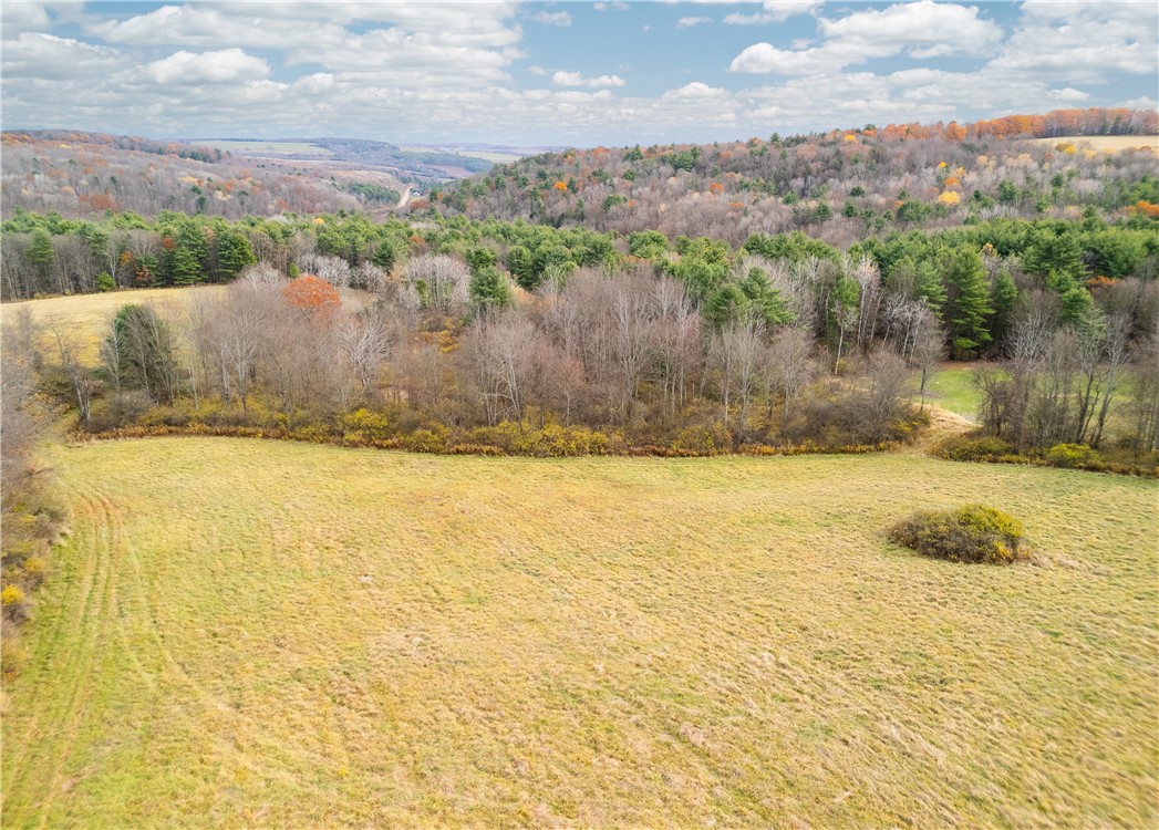3444 County Route 2 Addison, NY 14801 - Photo 9 of 25