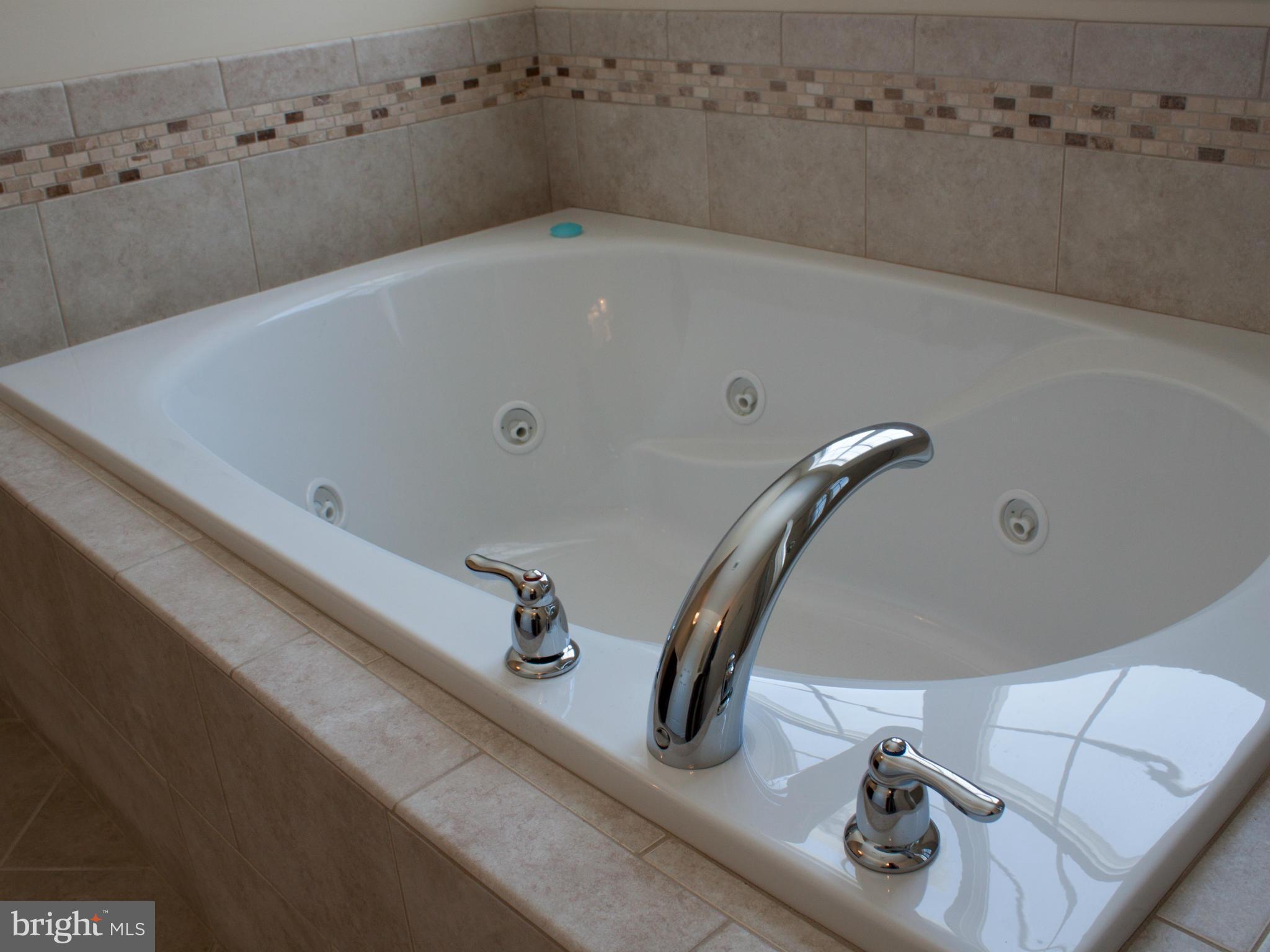 346 Forest Beach Road Annapolis, MD 21409 - Photo 15 of 20 Bath (Master)