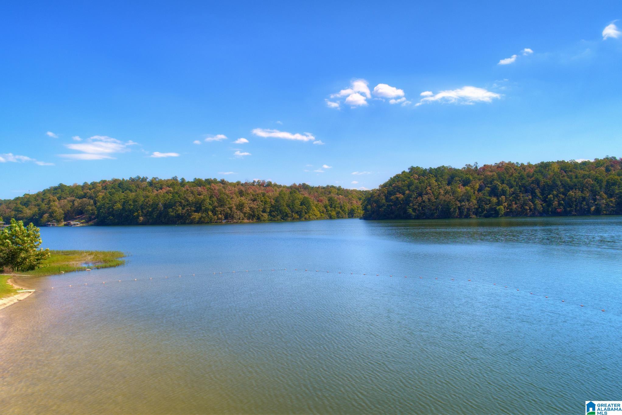 1435 Mountain Lake Road Warrior, AL 35180 - Photo 32 of 32