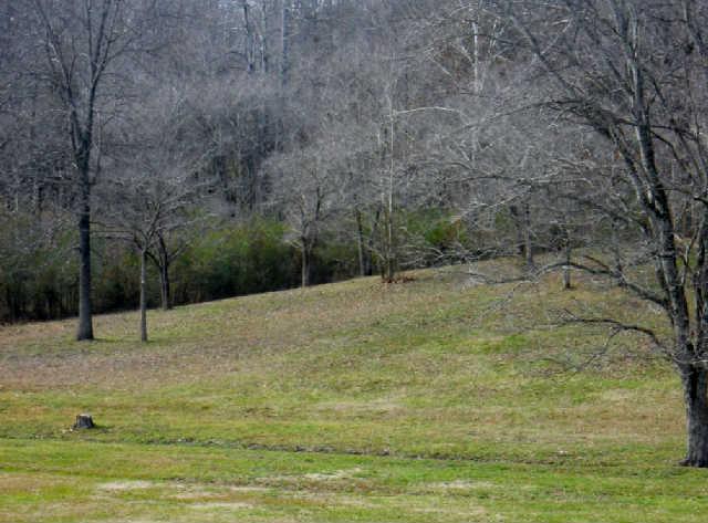 7852 Tatum Road Lyles, TN 37098 - Photo 18 of 19 Pasture looks like a park.