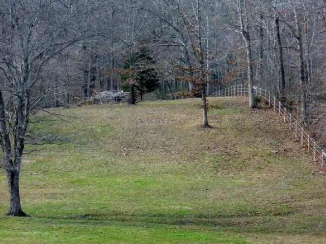 7852 Tatum Road Lyles, TN 37098 - Photo 19 of 19 Another view of pasture.