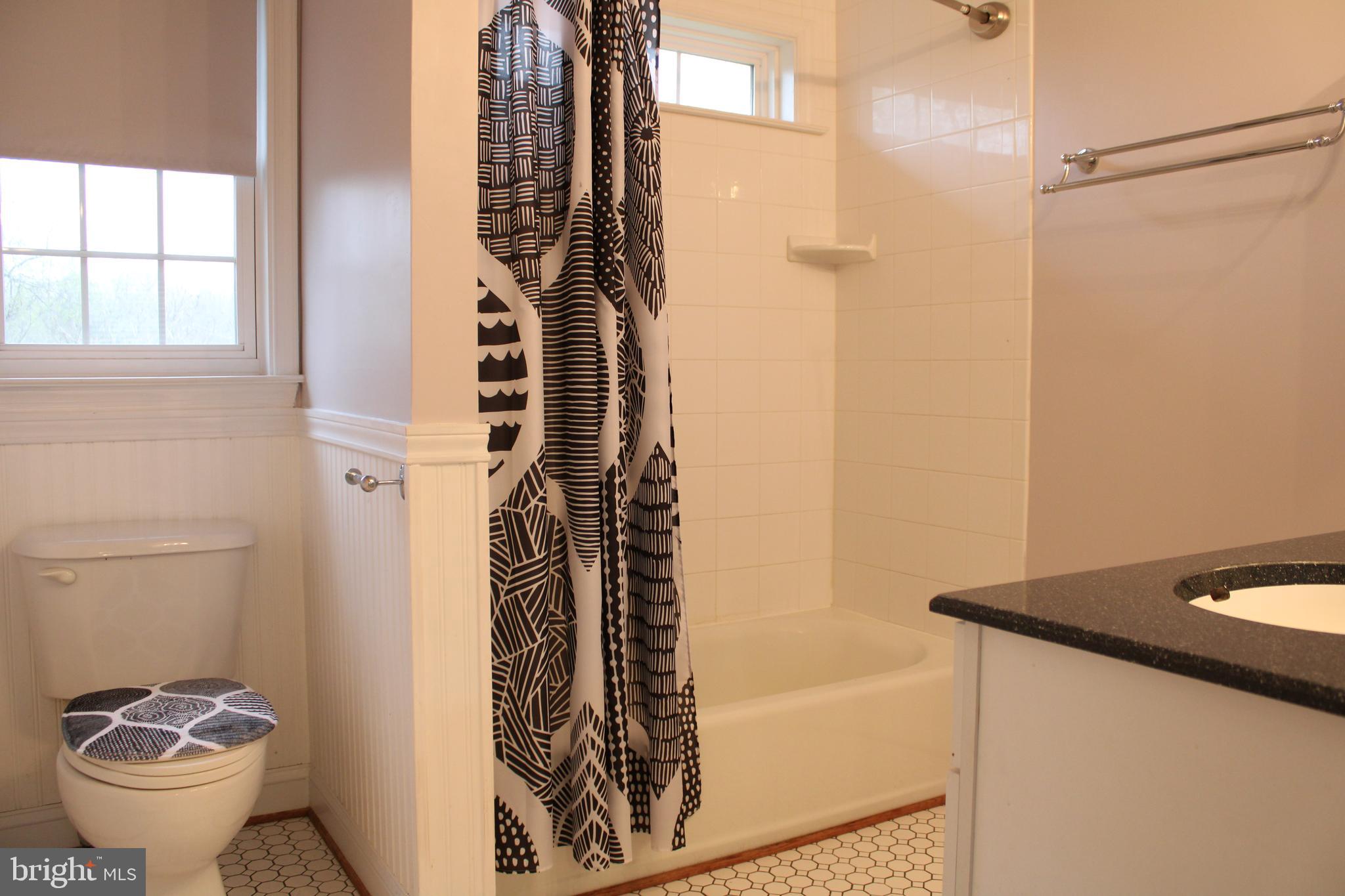 486 Tiger Valley Road Washington, VA 22747 - Photo 12 of 26 Primary Bathroom