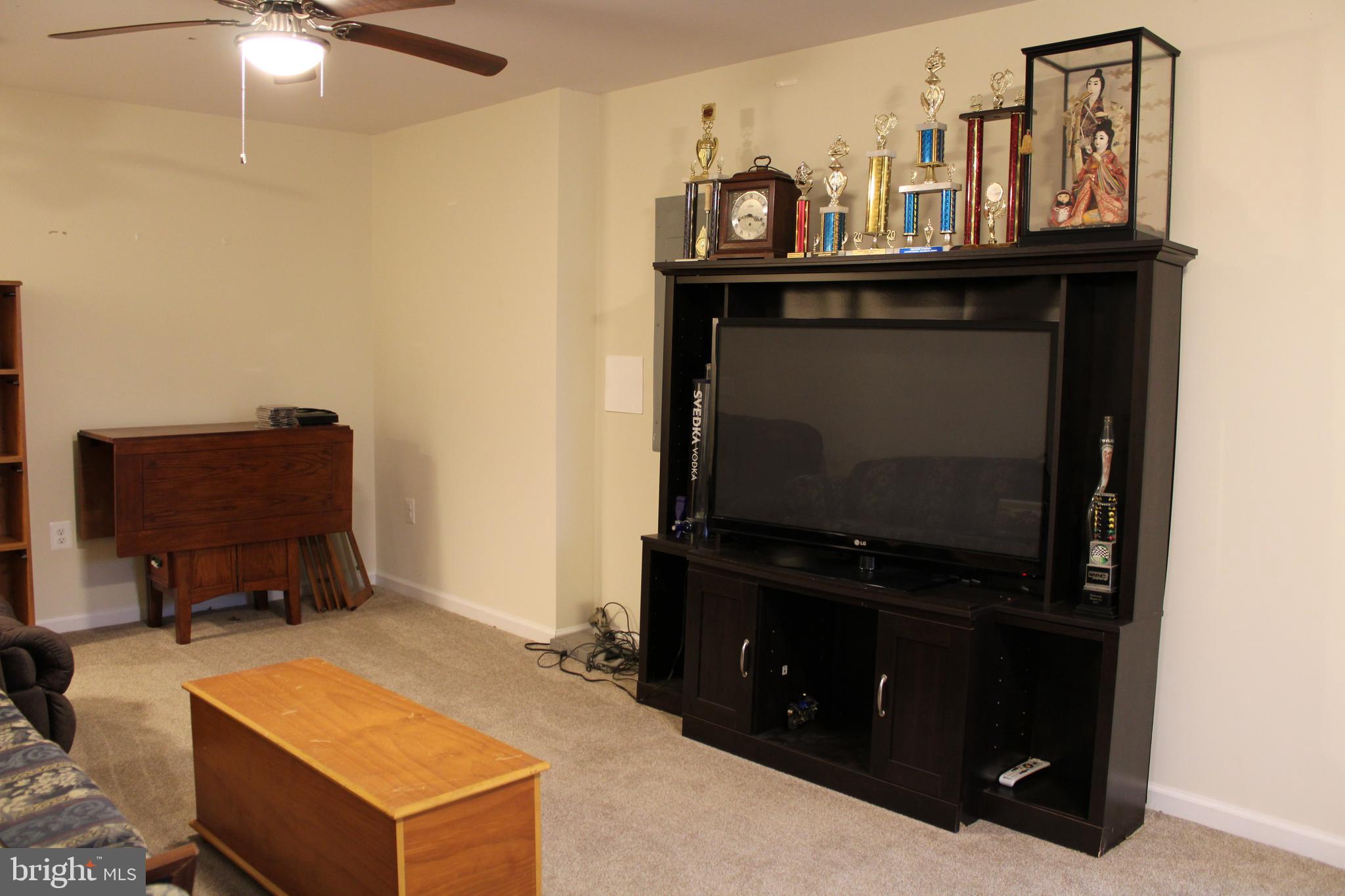 486 Tiger Valley Road Washington, VA 22747 - Photo 19 of 26 Basement apartment