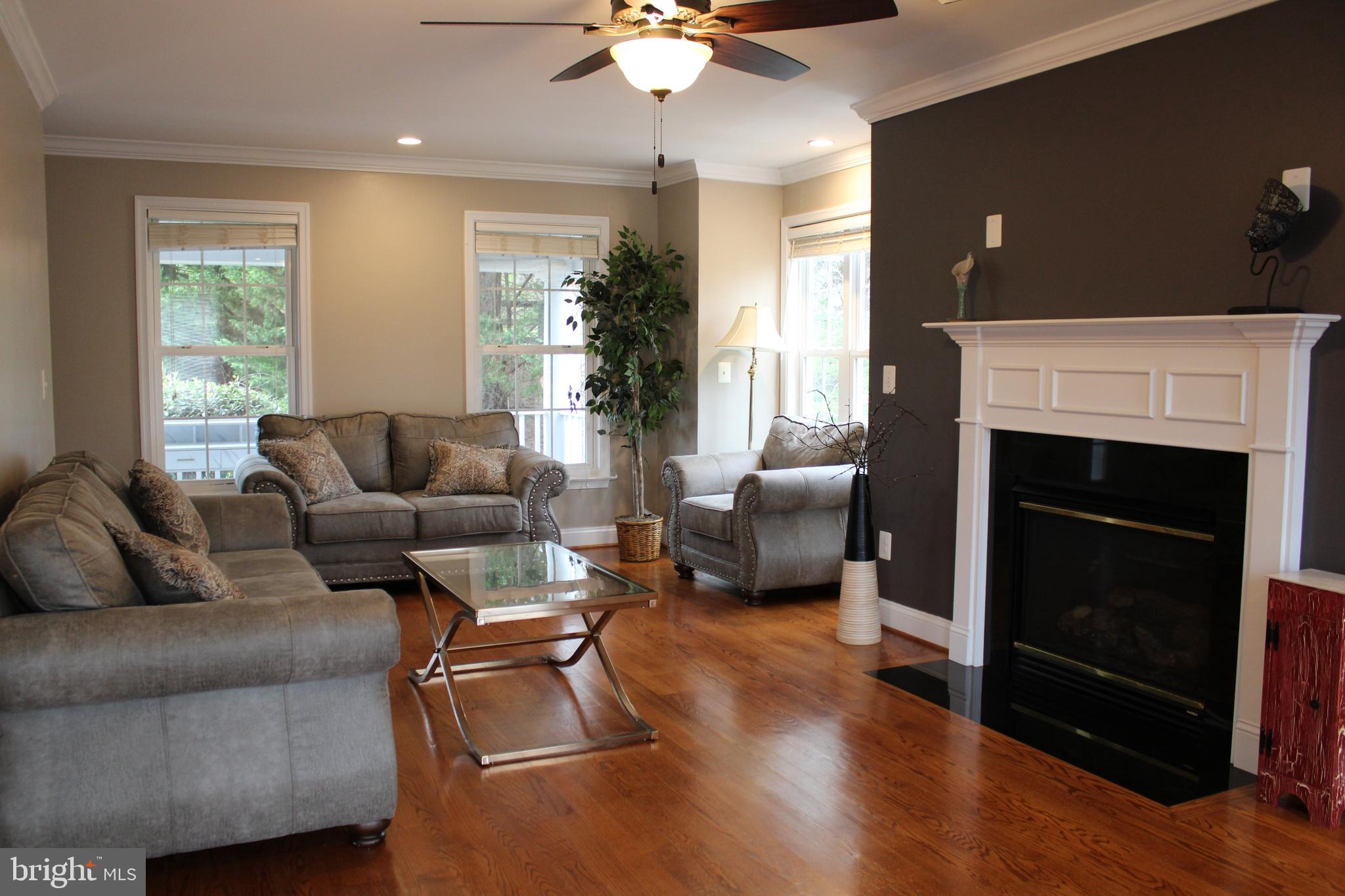 486 Tiger Valley Road Washington, VA 22747 - Photo 2 of 26 Livingroom