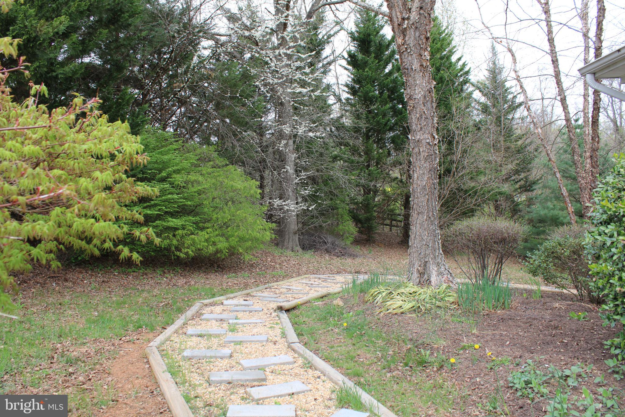486 Tiger Valley Road Washington, VA 22747 - Photo 21 of 26 Walkway to back patio