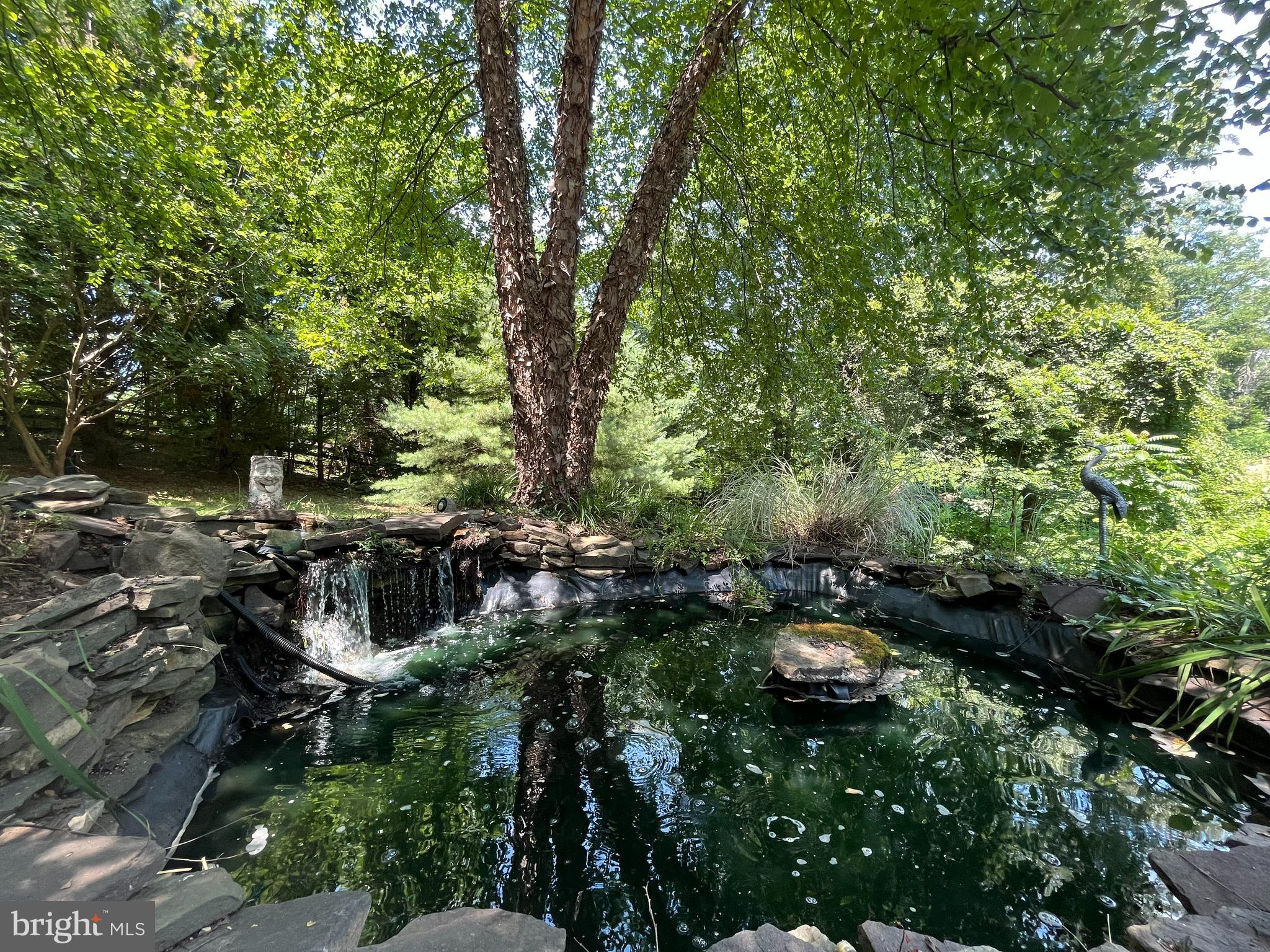 486 Tiger Valley Road Washington, VA 22747 - Photo 22 of 26 Small Fish Pond
