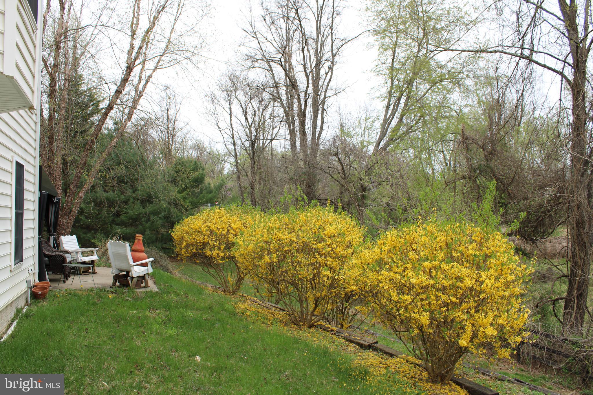 486 Tiger Valley Road Washington, VA 22747 - Photo 24 of 26 Forsythia