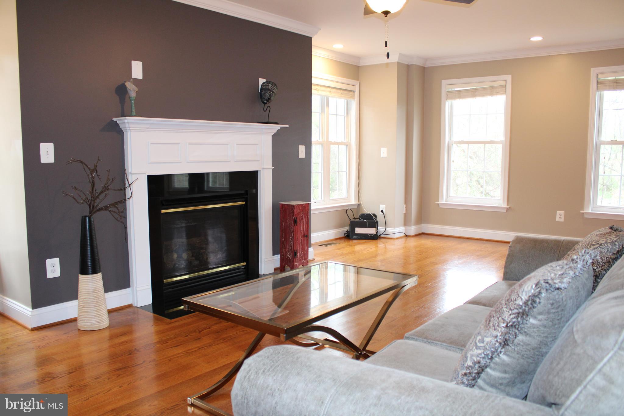 486 Tiger Valley Road Washington, VA 22747 - Photo 3 of 26 Livingroom with Fireplace