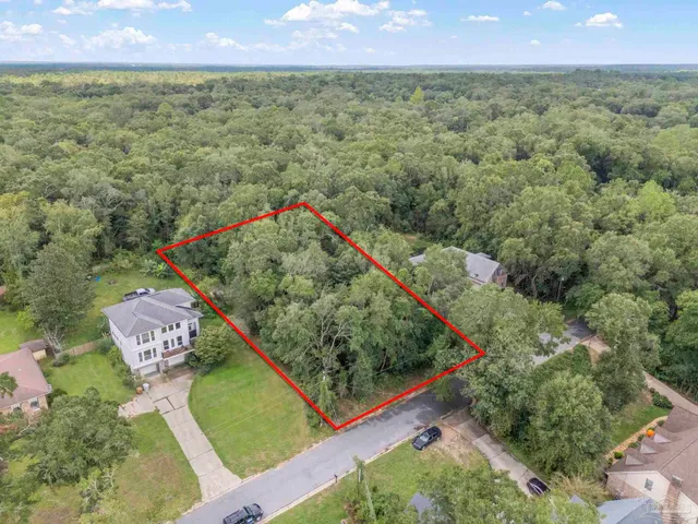 an aerial view of a yard