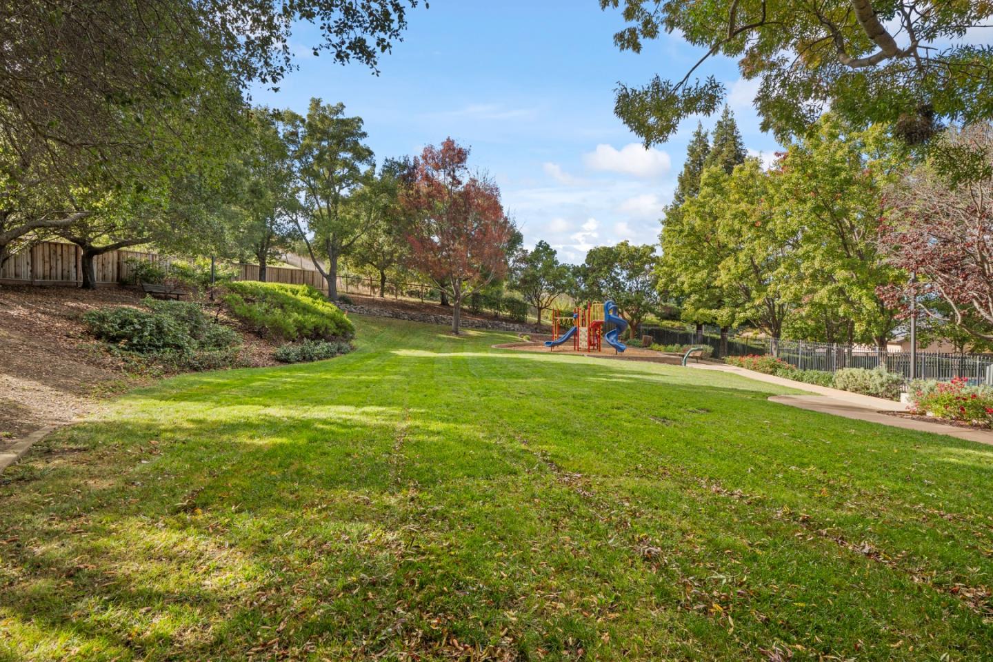26 Seminole Court San Ramon, CA 94583 - Photo 47 of 51 a view of yard with green space and trees