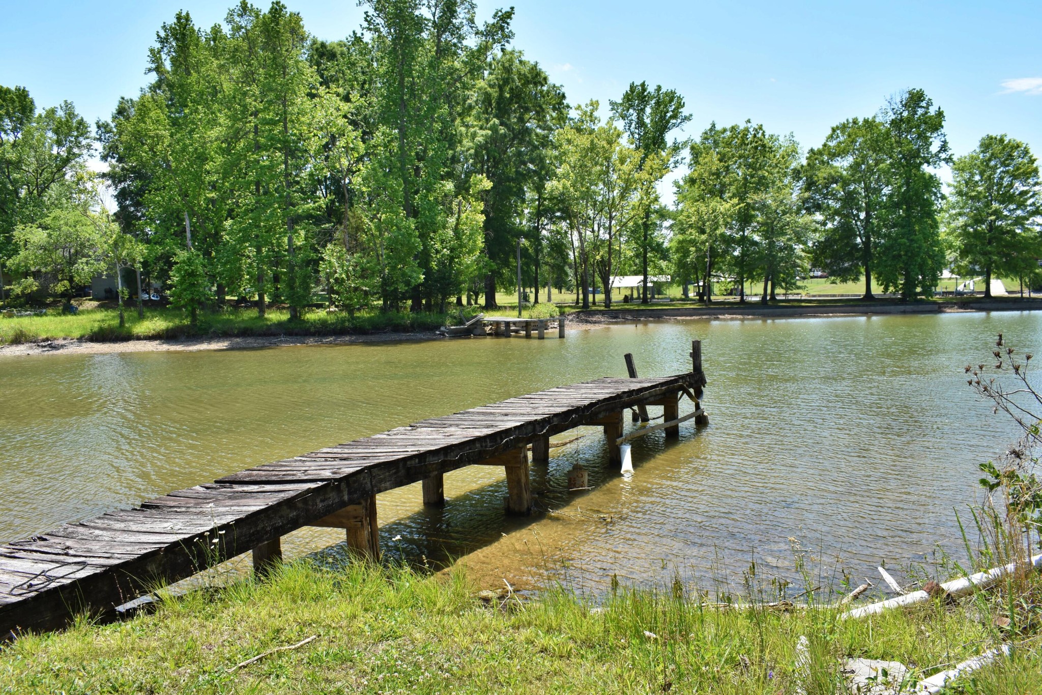 3442 River Road Ten Mile, TN 37880 - Photo 55 of 73