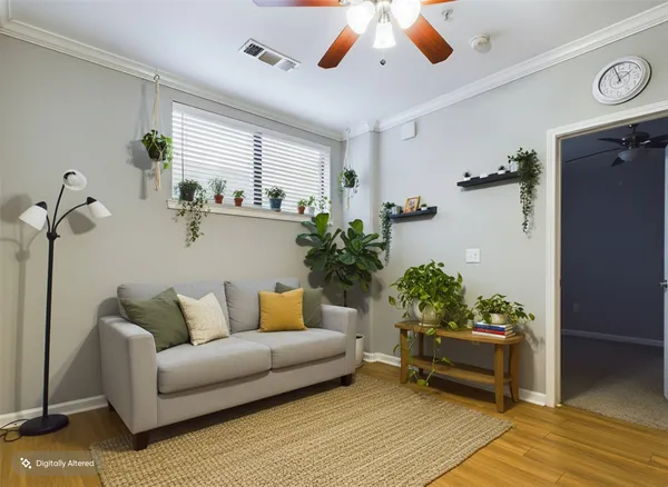 a living room with furniture and a potted plant