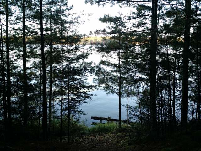 On Shields Road, Unit LOT 1 St. Germain, WI 54558 - Photo 3 of 20 Gallery Image 3