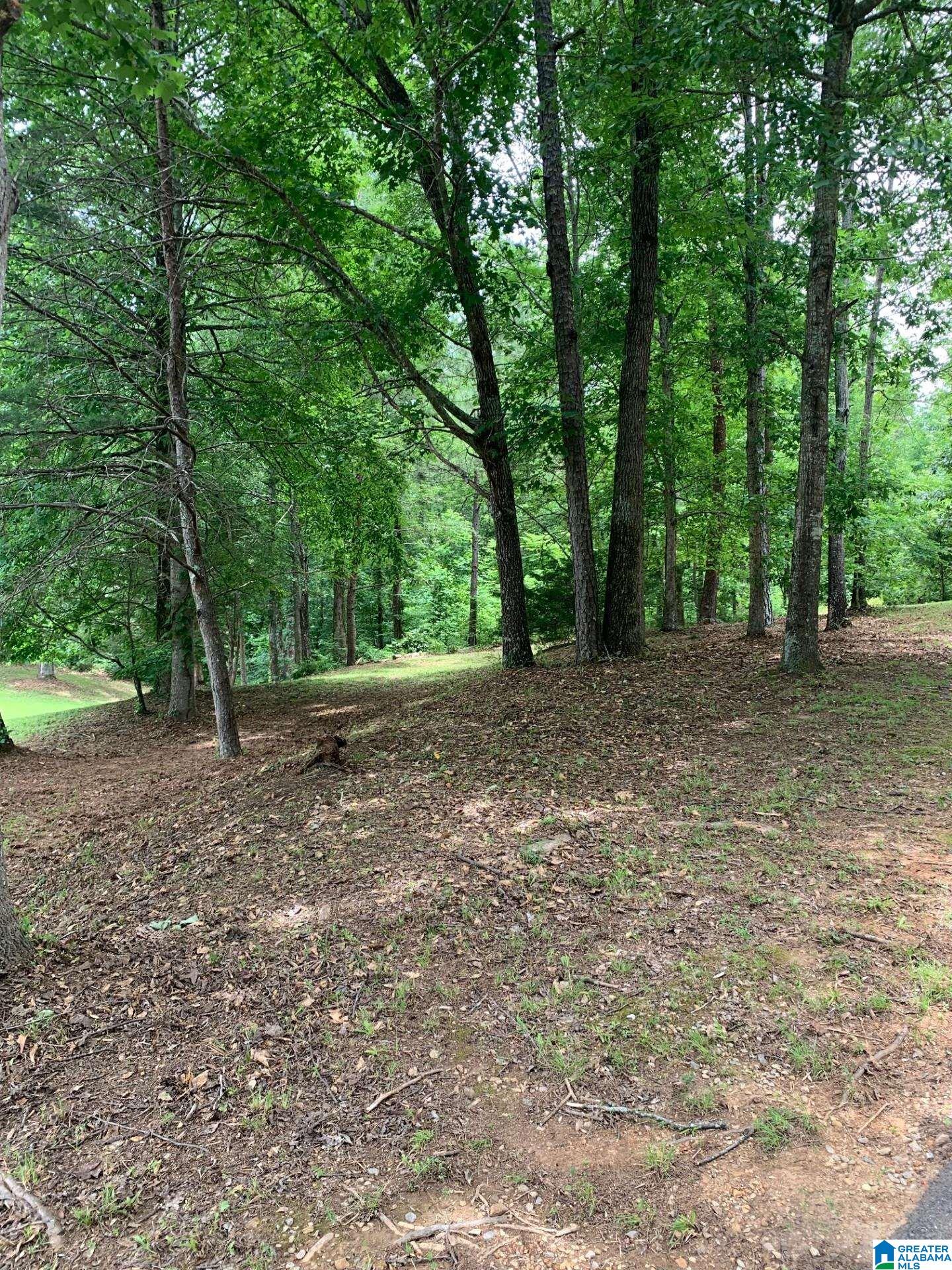 4348 Red Valley Road Remlap, AL 35133 - Photo 9 of 69