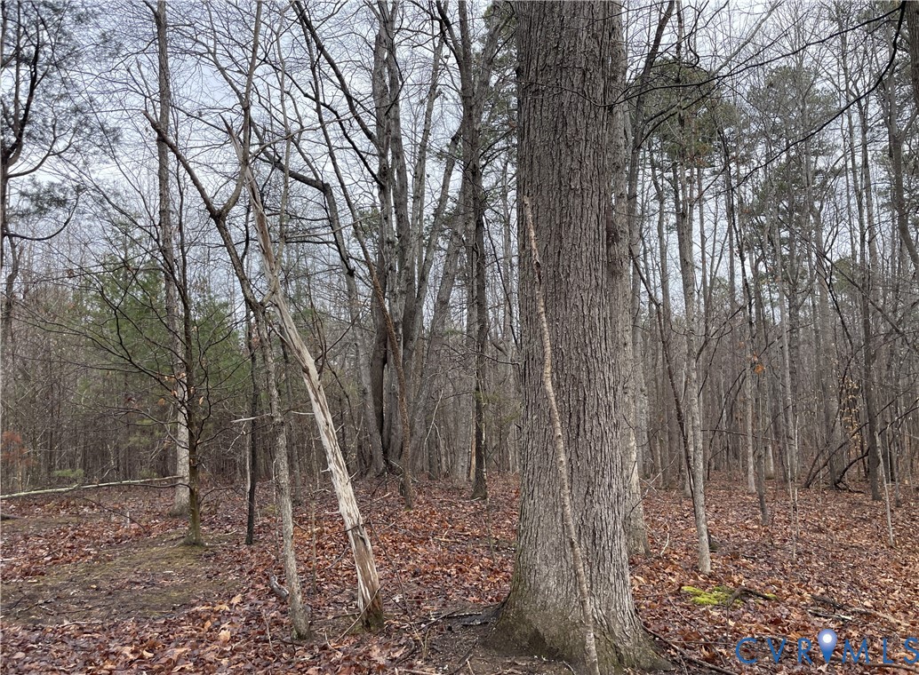0 Snow Hill Road Alton, VA 24520 - Photo 13 of 17 a view of outdoor space and yard