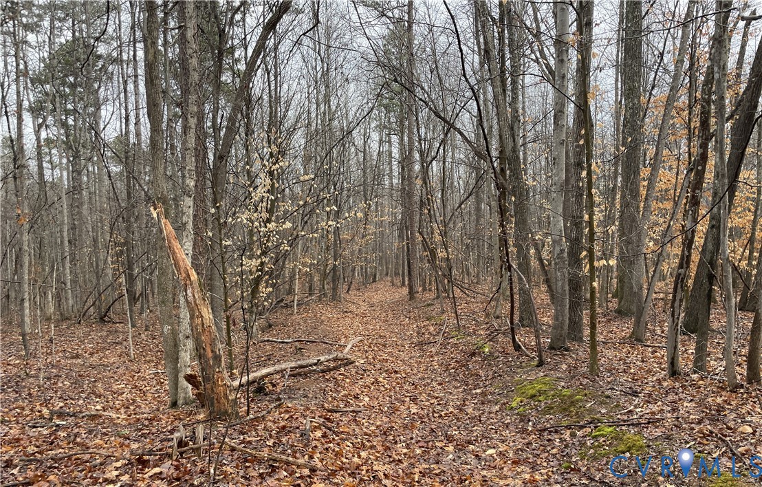 0 Snow Hill Road Alton, VA 24520 - Photo 14 of 17 a backyard of a house with lots of green space