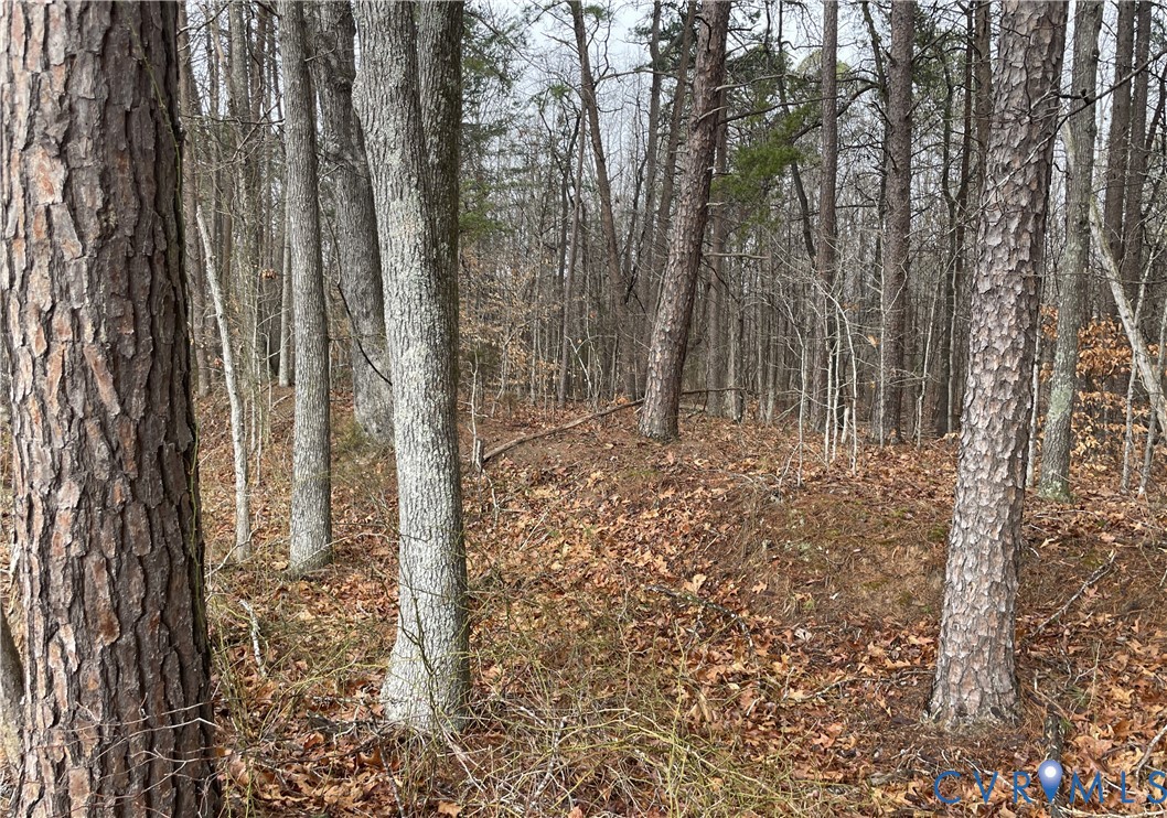 0 Snow Hill Road Alton, VA 24520 - Photo 15 of 17 a view of wooden wall