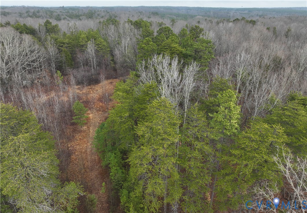 0 Snow Hill Road Alton, VA 24520 - Photo 2 of 17 a view of a yard
