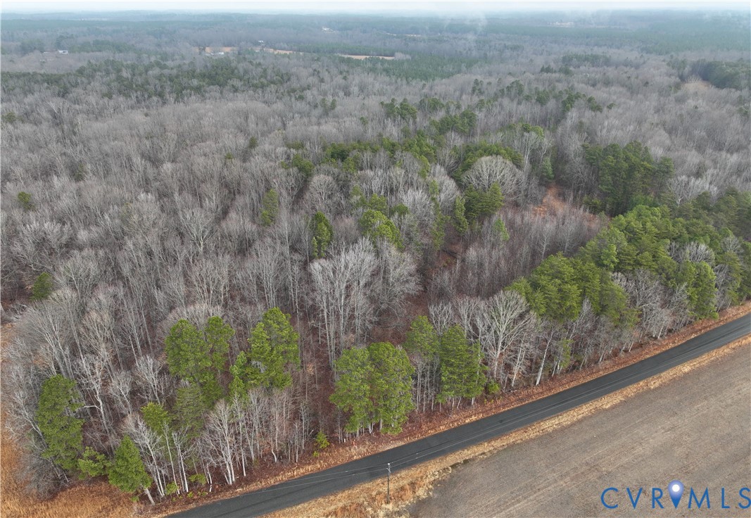 0 Snow Hill Road Alton, VA 24520 - Photo 3 of 17