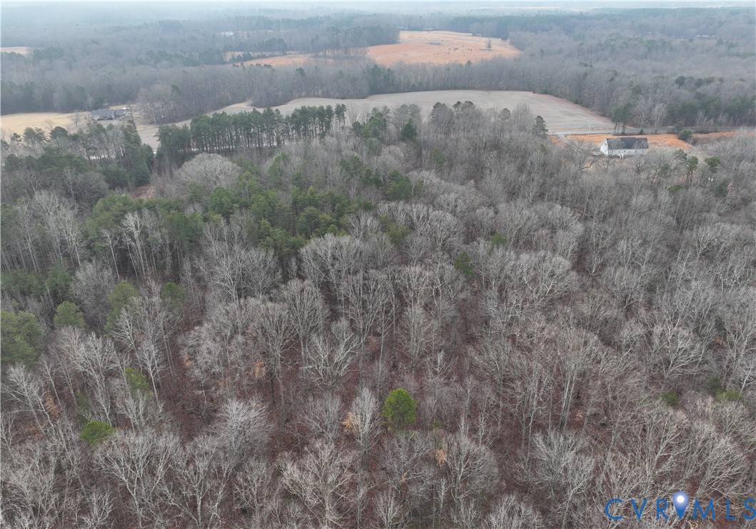 0 Snow Hill Road Alton, VA 24520 - Photo 4 of 17 a view of a dry yard