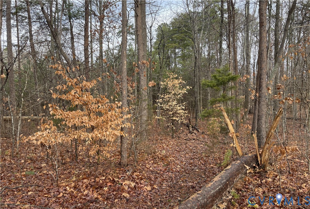 0 Snow Hill Road Alton, VA 24520 - Photo 6 of 17