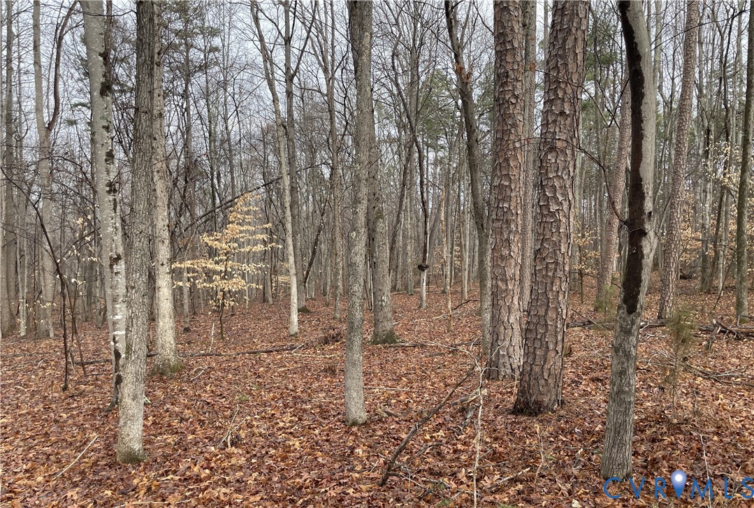 0 Snow Hill Road Alton, VA 24520 - Photo 8 of 17 a backyard of a house with lots of green space