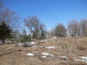 7710 Buell Road Rock Falls, IL 61071 - Photo 13 of 14
