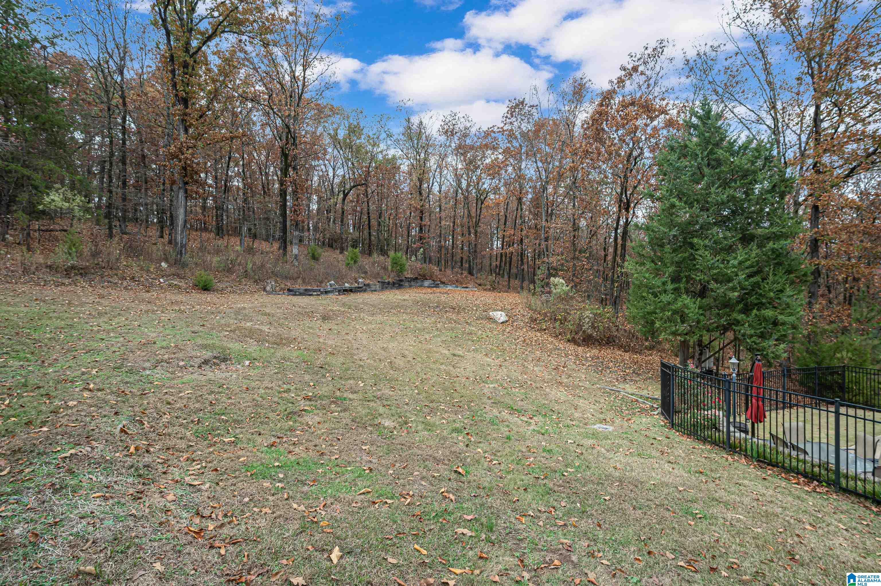 105 Silverleaf Lane Alabaster, AL 35007 - Photo 52 of 55