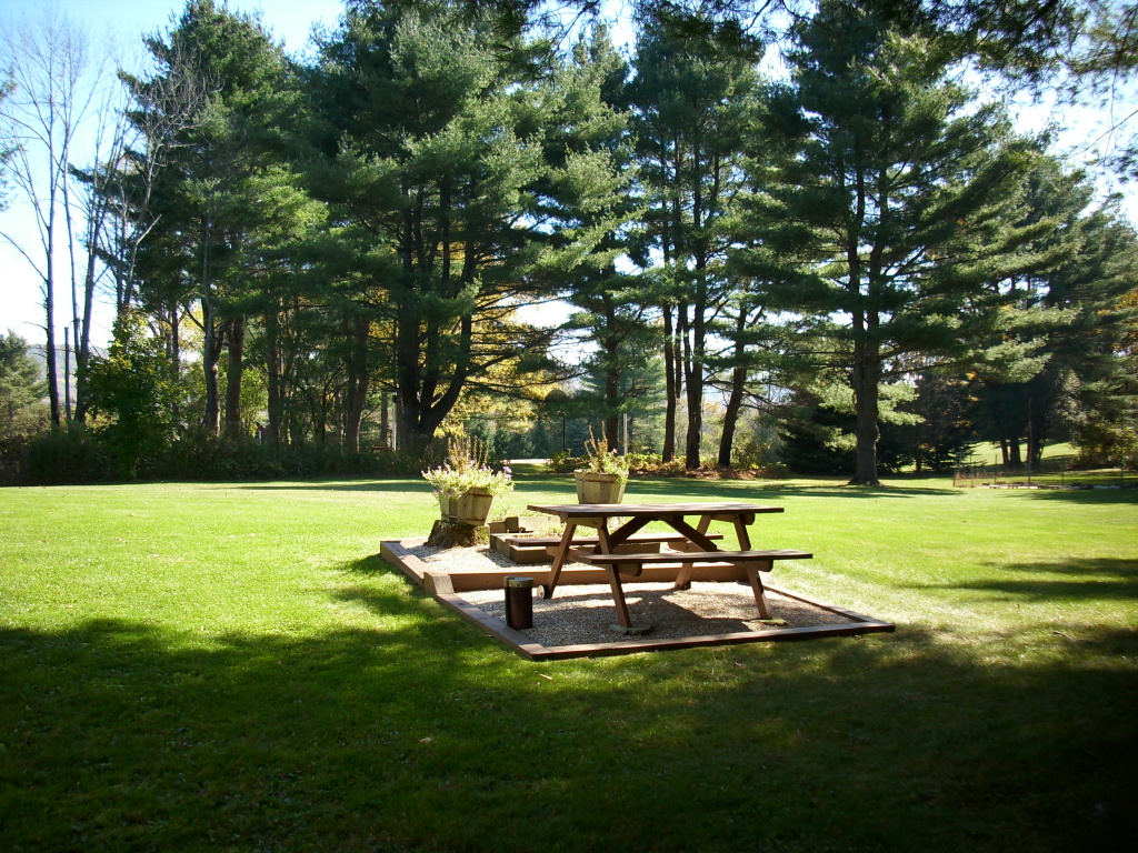 35 Patterson Road Lenox, MA 01242 - Photo 17 of 19 Back Yard